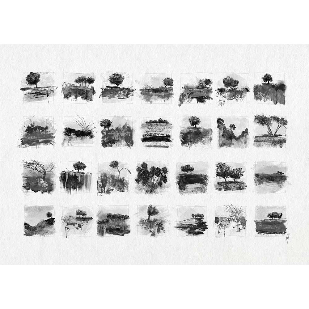 Fine art print from a black & white monochrome original painting comprising 28 landscape and tree drawings and studies - Little Trees I by Jayne Leighton Herd.